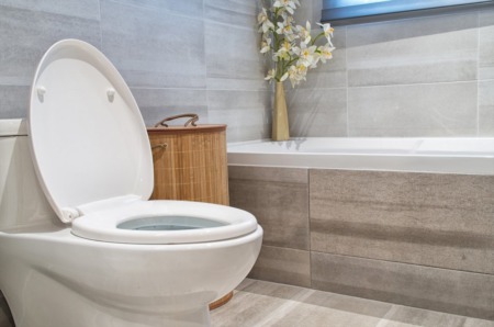 Selling a Home with a Septic System