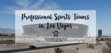 Professional Sports Teams in Las Vegas: A Brief Overview