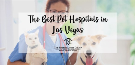 The Top-Rated Pet Hospitals & Veterinarians in Las Vegas
