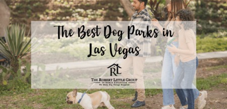 Where To Let Your Dog Run Around in Las Vegas: Local Dog Parks You Should Visit