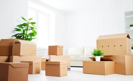 Hiring Professional Movers