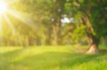 The Best Parks in Manhattan Beach