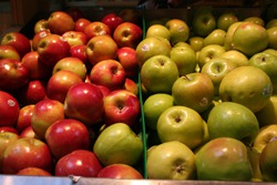 Fresh Produce and More at the Riviera Village Farmer's Market