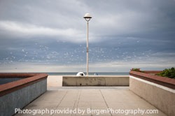 Local Spotlight: Bergen Photography 