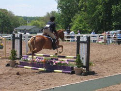 What is the Seahorse Riding Club?