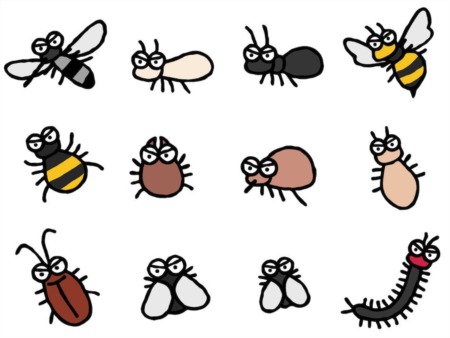 How To Identify Signs of Pests in Your Home