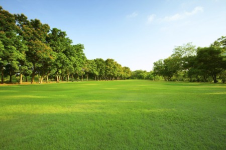 What You Need To Know About Buying and Selling Land