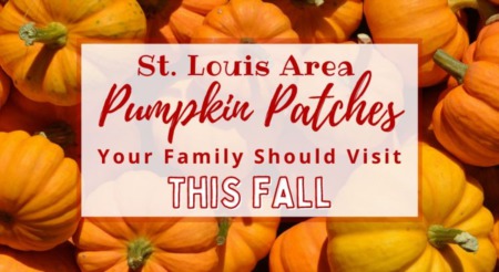 St. Louis Area Pumpkin Patches Your Family Should Visit This Fall