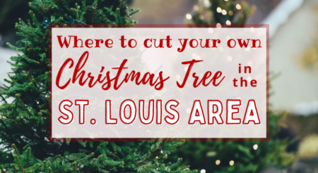 Where to Cut Your Own Christmas Tree in the St. Louis Area