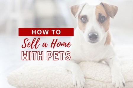  How to Sell a Home with Pets