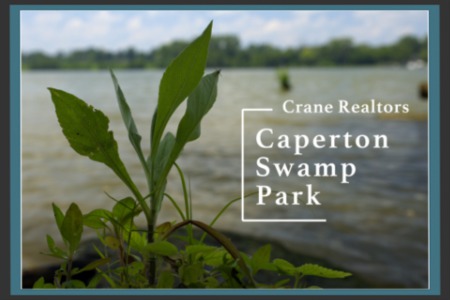 Caperton Swamp Park | Indian Hills, Louisville, KY