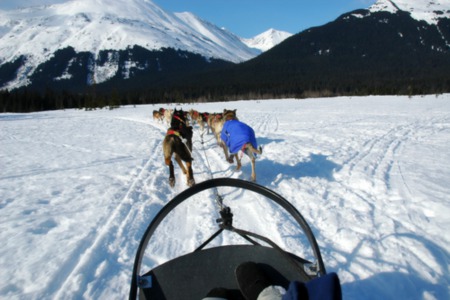 Things To Do In Anchorage: Alaska Winter Sports