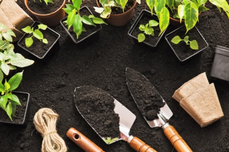 Home Improvement: Landscaping to Sell