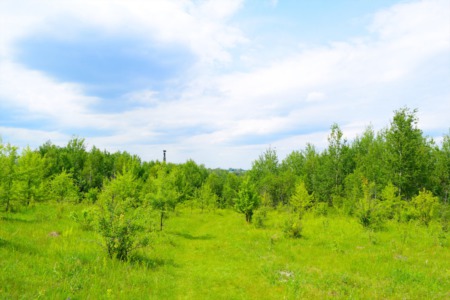 Tips for Buying Off-Grid Land