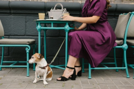 Where Are the Best Dog-Friendly Restaurants in Alaska?