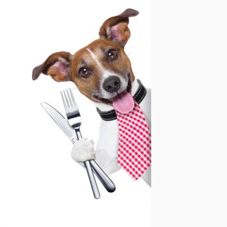 Dining with Dogs in Scottsdale: A Listicle