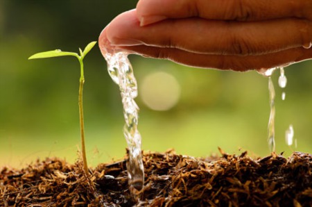 Time to Get Your Spokane Garden Ready for Planting