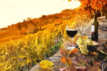 The 4 Best Vineyards & Wineries in Spokane, WA