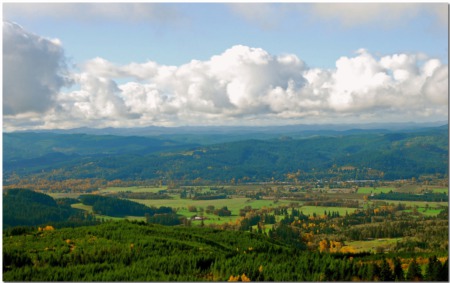 Willamette Valley Home Buyers Guide