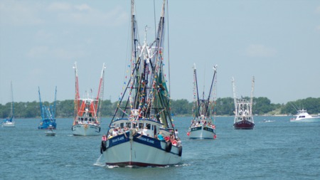 11 Events to See & Do in Charleston in Spring 2021