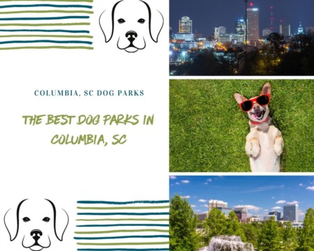 The Best Dog Parks in Columbia, SC