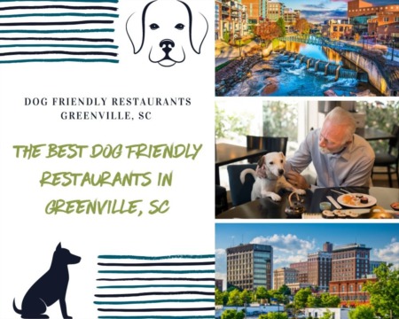 The Best Dog Friendly Restaurants in Greenville, SC