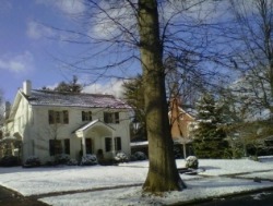 Snow Glistening on homes in Lexington's Montclair Neighborhood!
