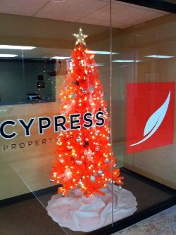 Our Cypress Tree is Up!