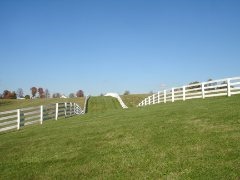 Horse Farms for Sale near the Kentucky Horse Park