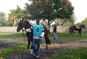 Keeneland's Fall Meet 2014 Is Not To Be Missed! 