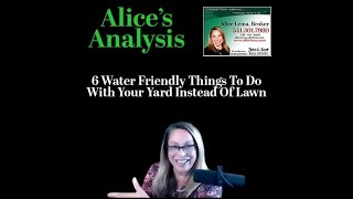 Six Water Friendly Things instead of a Lawn