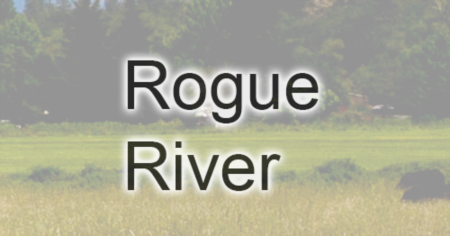 Rogue River Homes Sold 2021