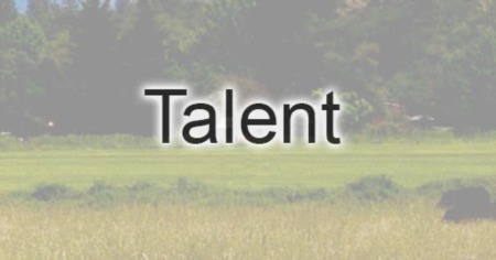 Talent Homes Sold in 2021