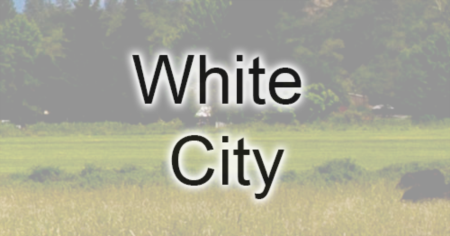 White City Homes Sold in 2021
