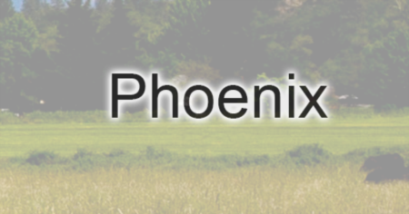 Phoenix Homes Sold in 2021