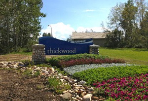 Neighbourhood Spotlight: Thickwood