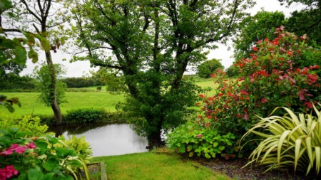 4 Must-Avoid Landscaping Mistakes