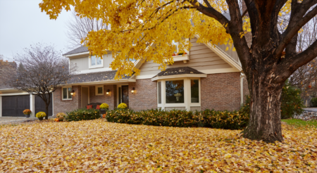 Homeowners – Prepare Your Lawn for Next Year