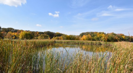 Fall Colors - The Best Spots in Fargo-Moorhead!