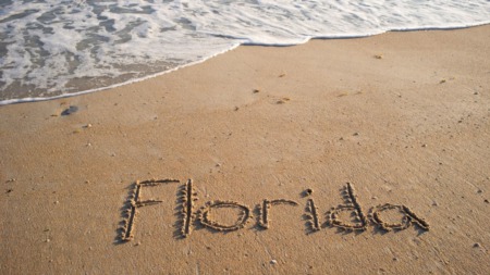 Where Does Florida Rank In The Most Desirable States To Live? 