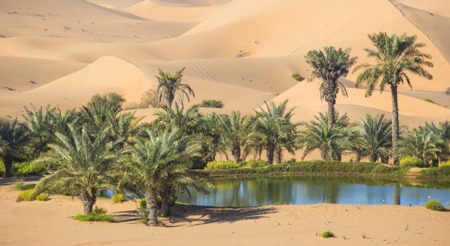  Your House Could Be the Oasis in an Inventory Desert