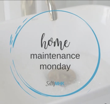 Home Maintenance Monday -  Garbage Disposal