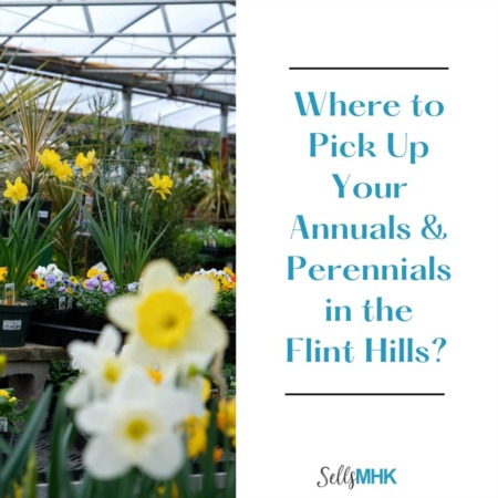 Where to Pick Up Your Annual & Perennials in the Flint Hills?