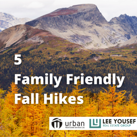 5 Family-Friendly Hikes to do This Fall
