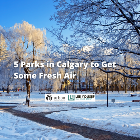 5 Parks in Calgary to Get Some Fresh Air