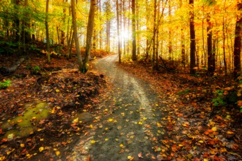Don’t Be Scared to Join the Trail Team December 19