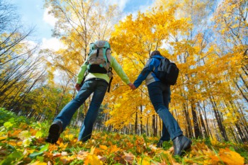 Hike Under the Full Moon in Bernheim Forest October 16