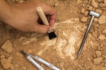 Dig into Louisville History at Farnsley-Moremen Riverside Landing January 18