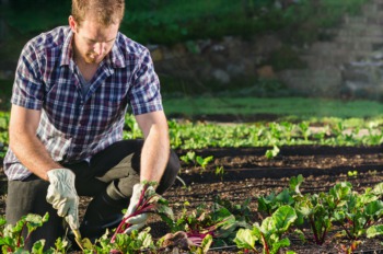Learn Urban Farming for Beginners at Riverside January 26