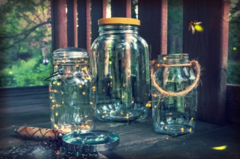 Visit Expedition Fireflies at Bernheim Forest June 23